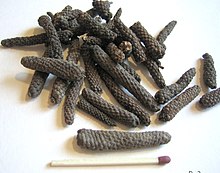 Indian long pepper(Piper longum L.)